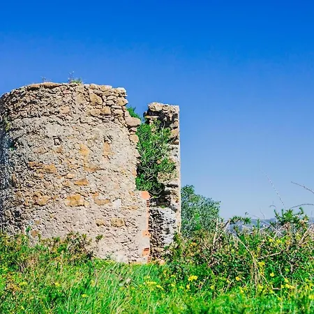 Appartement Casa Martins Country 8 - Courtyard And Pool